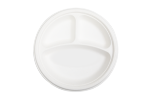 Three Compartment Circular Plate