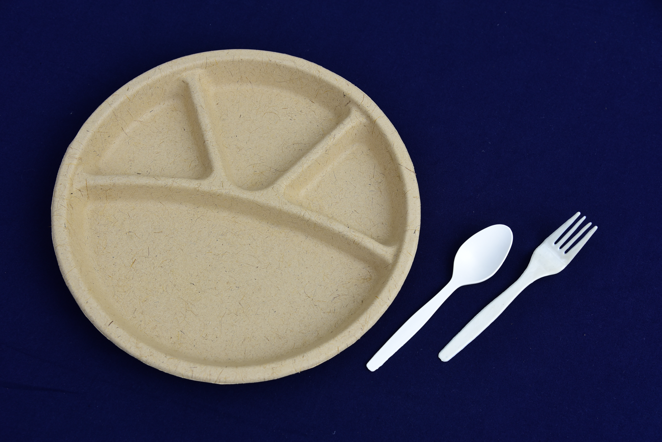 Four Compartment Circular Plate - Image 3